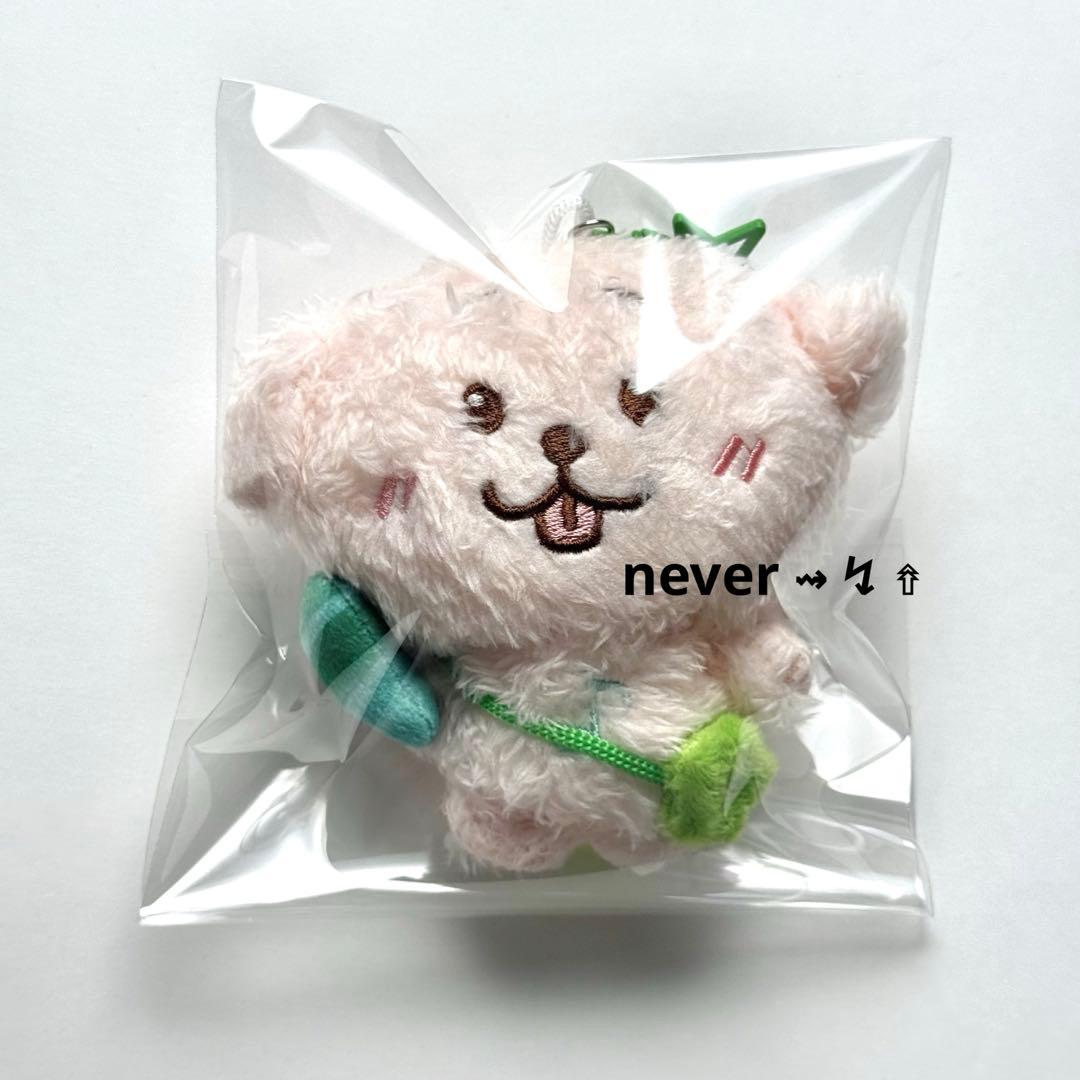 NCT WISH ジェヒ デントリバー WISH DOLL nctwish ジェヒ ぬいぐるみ