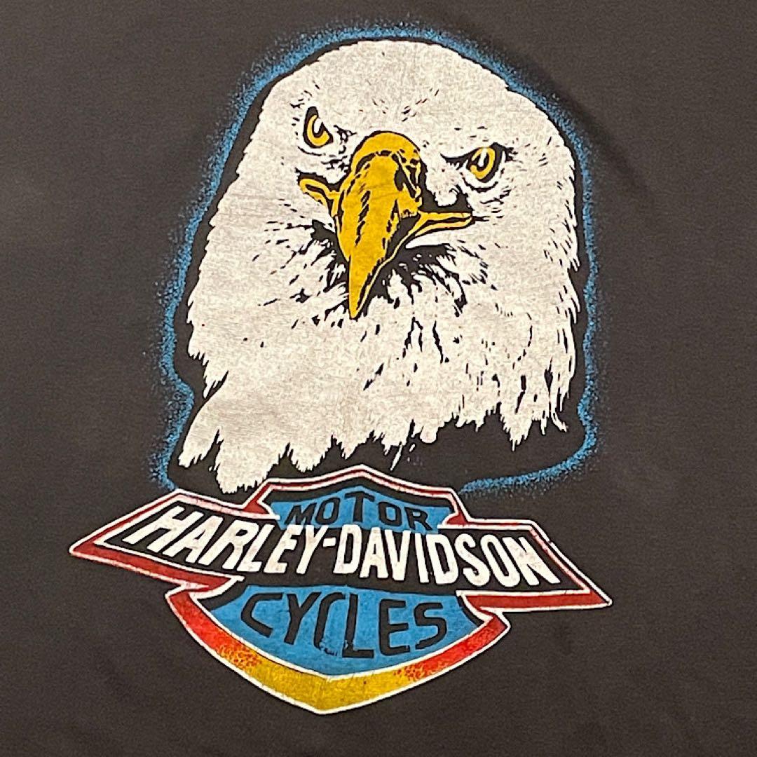 フォロー割ポコ様専用 激レア 70s80s パキ綿ハーレーダビッドソン