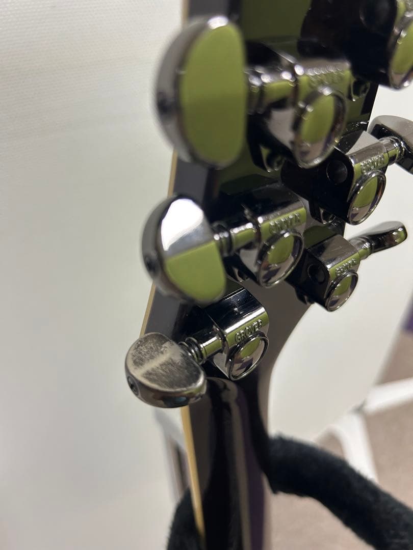 フェルナンデス APG-85S サスティナー