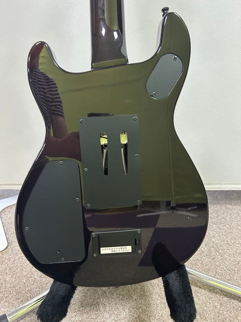 フェルナンデス APG-85S サスティナー