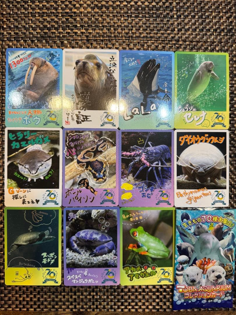 TOBA AQUARIUM 鳥羽水族館 70周年記念 コレクションカード