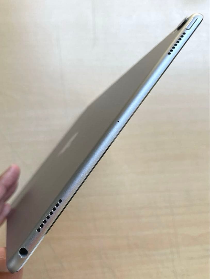 美品 iPad Pro 10.5 64GB A1701 バッテリー良好 Apple iPad Pro (10.5