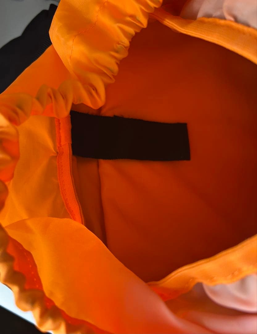 ポルノグラフィティ　リュック　15周年