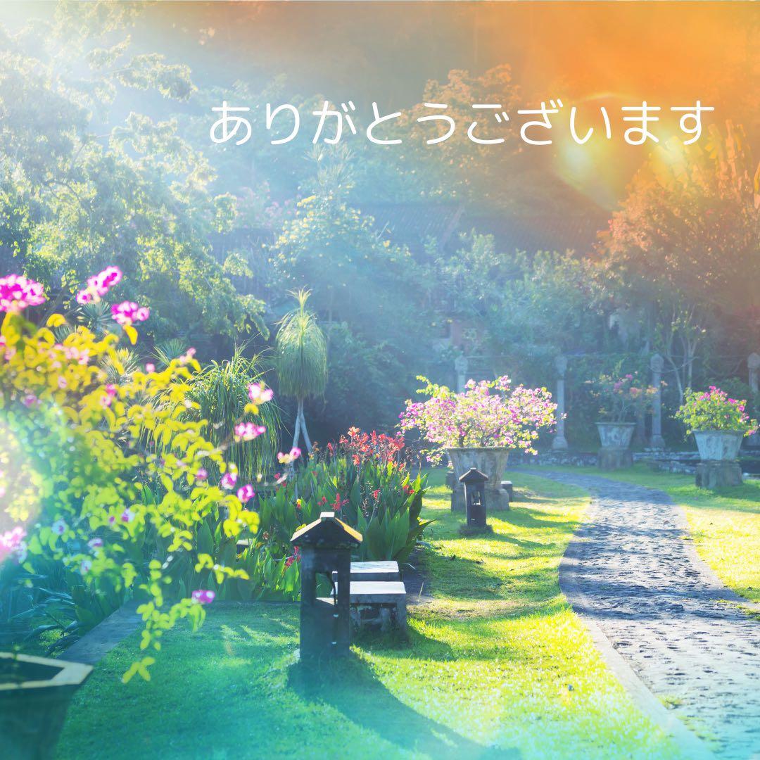 チョウピラコ様の宿るこけし 恋愛成就 縁起物 恋愛運 座敷童子様 恋愛と金