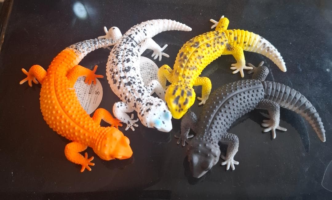 ヒョウモントカゲモドキ フィギュア 4体セット - メルカリ