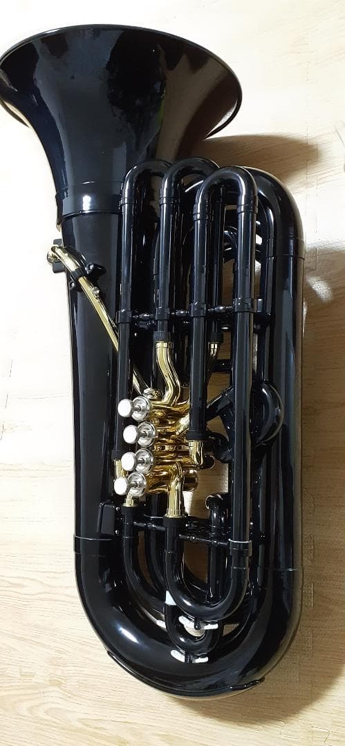 PLAYTECH PTHT-100BK ハイブリッドチューバ ブラック