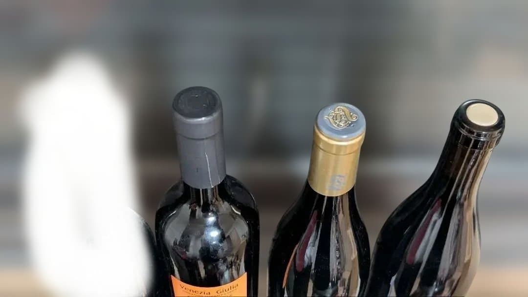 最終価格 激安 ナチュナルワイン 自然派ワイン 3本セットの通販はau