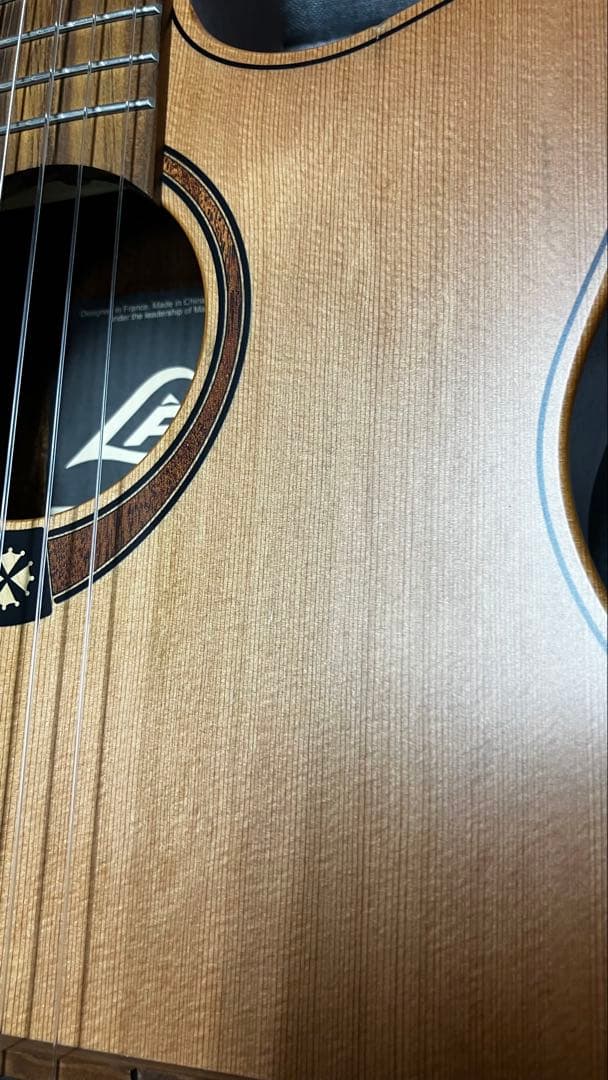 Lag Tramontane TN170ACE エレガットギター