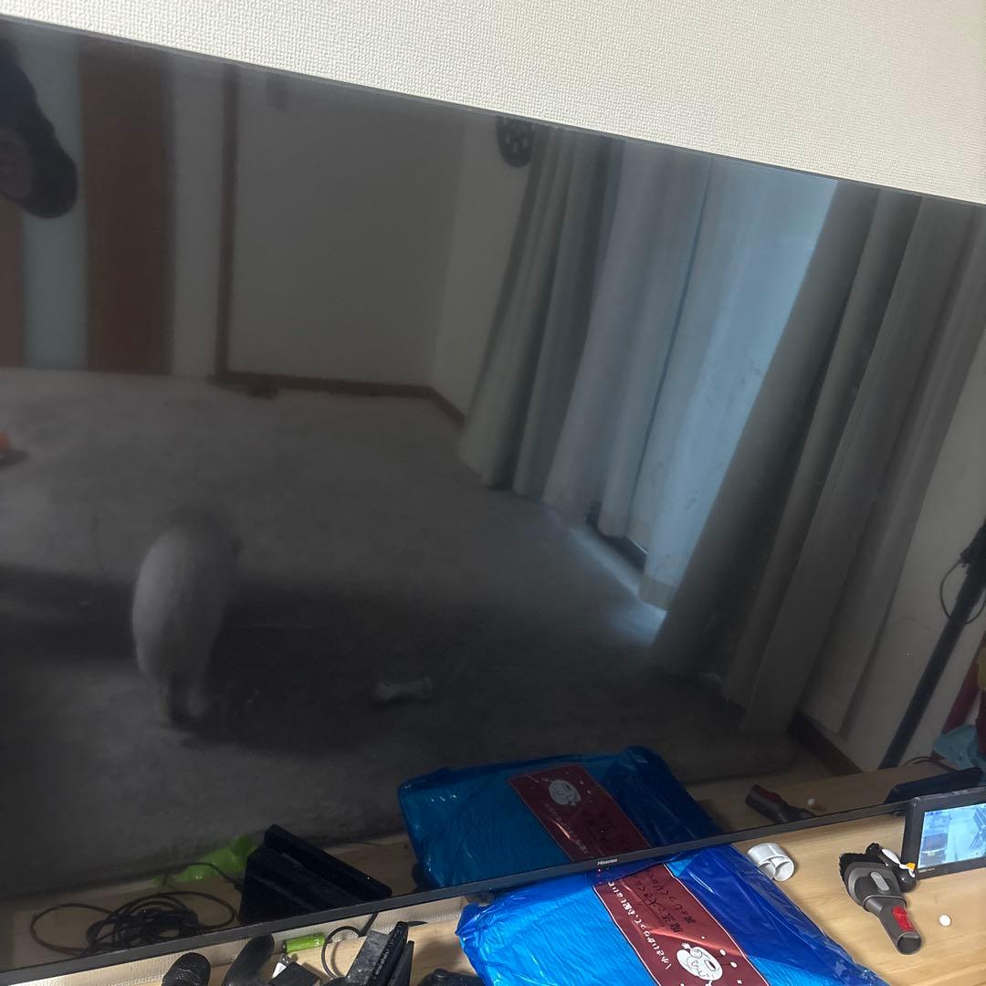 12/31まで　65E6K 65インチ 液晶テレビ　送料込み 65E6K 65インチ 液晶テレビ 送料込み ハイセンス（HISENSE