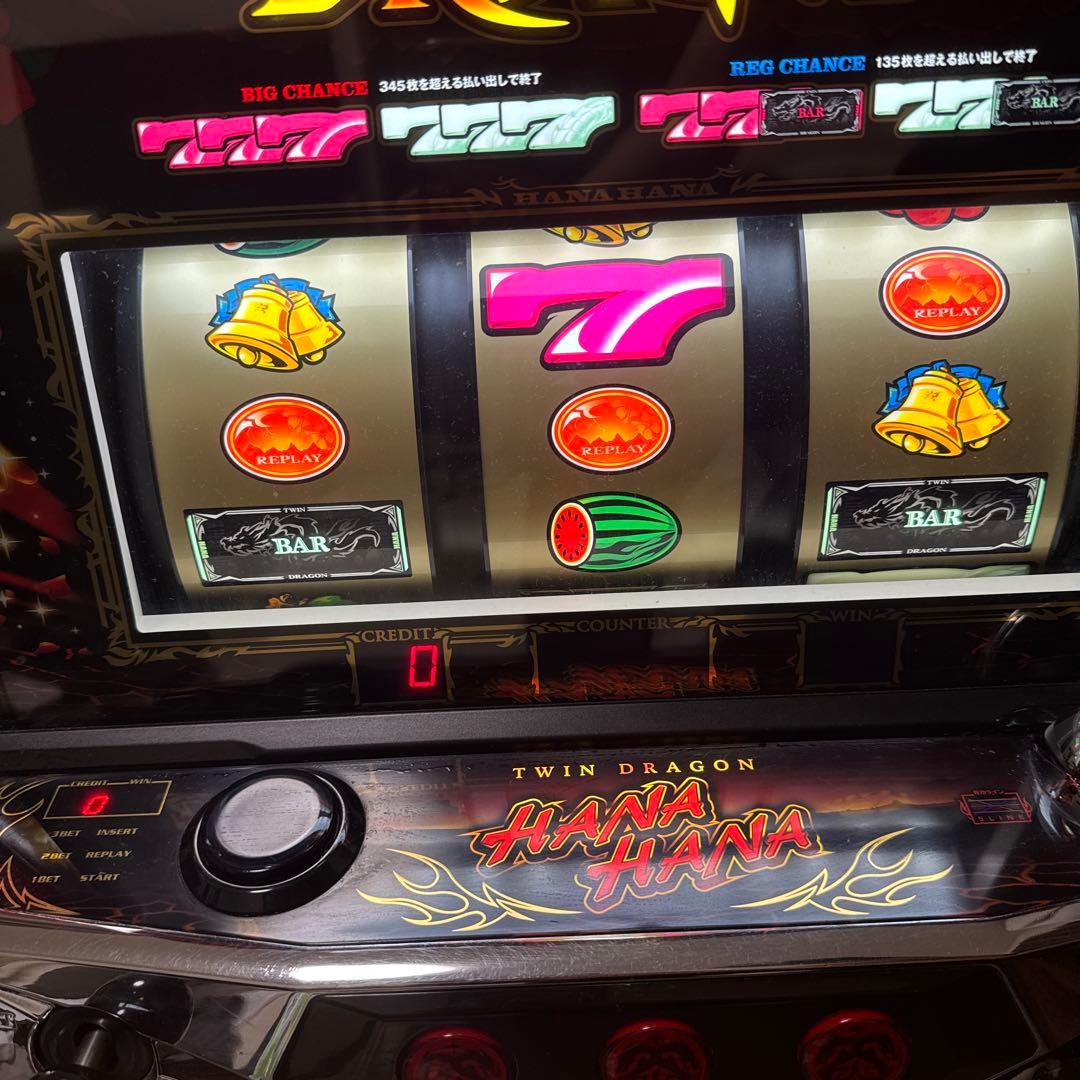ツインドラゴンハナハナ 引き取り限定