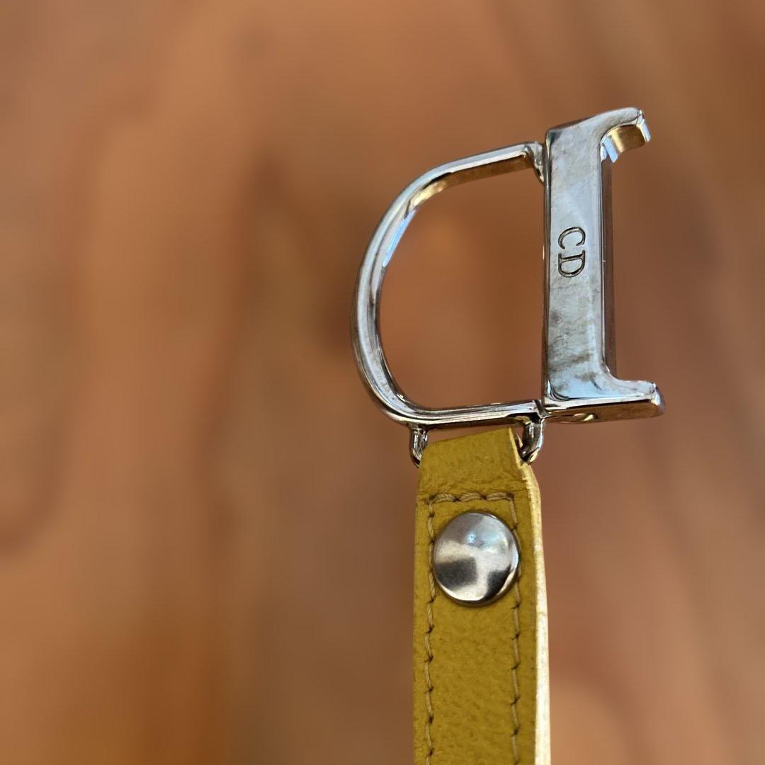 Dior ロゴプリント ケース