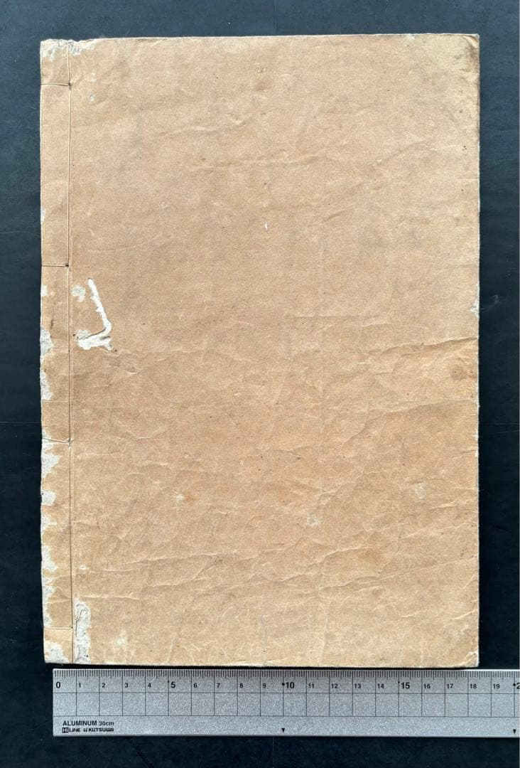 た*た様 《2冊セット》永富独嘨庵「漫遊雑記」、富士川 游「訳解漫遊雑記」