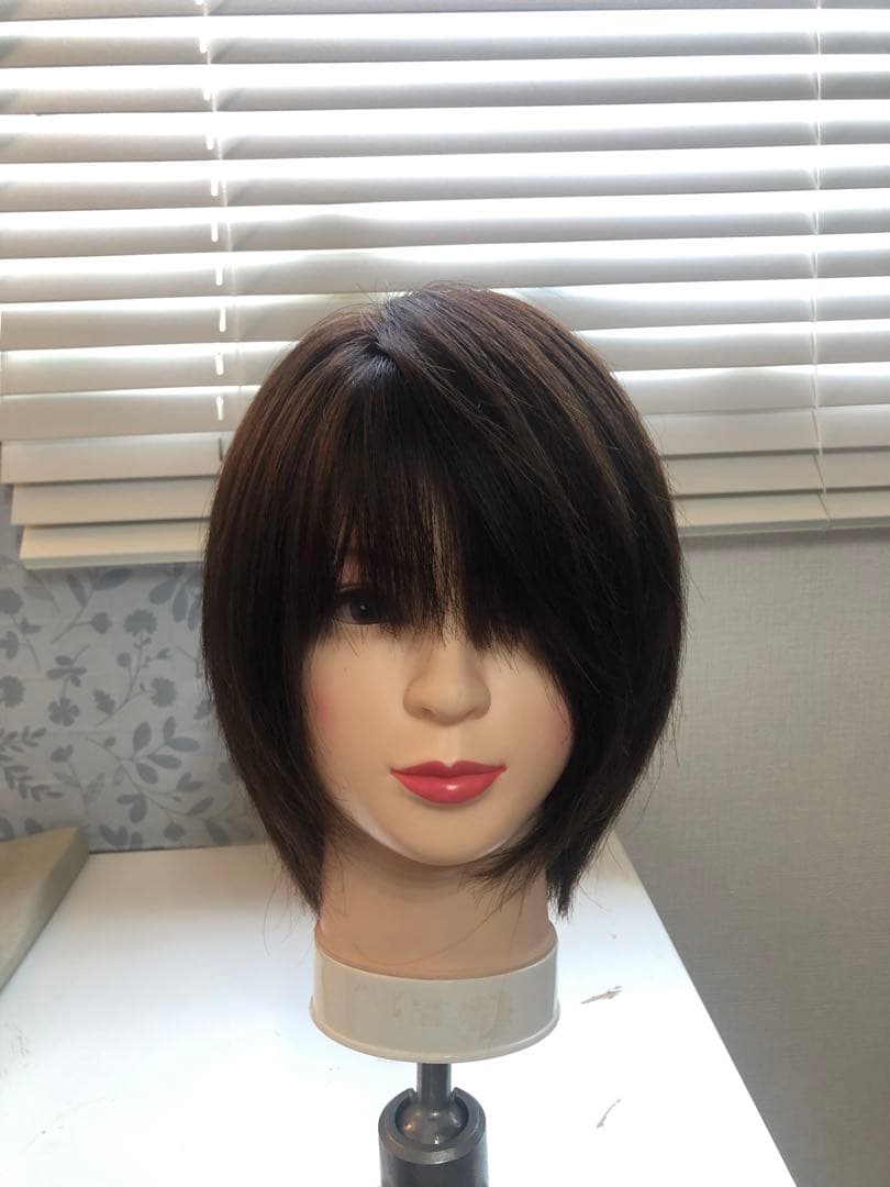 人気の　人毛ショートウィッグ ブラウン系　未使用