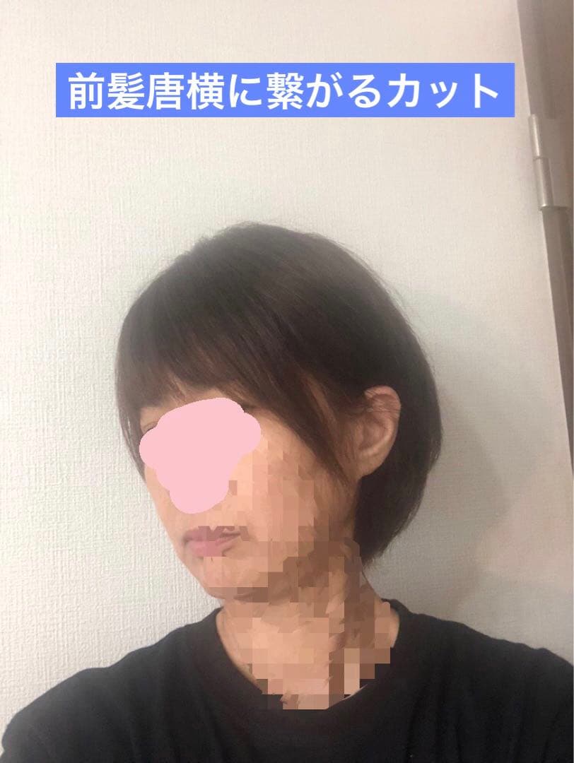 人気の　人毛ショートウィッグ ブラウン系　未使用