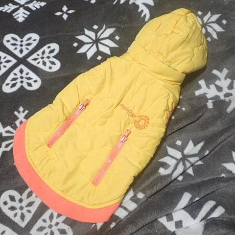 Mサイズ チュッパチャプス柄 パーカー取り外し 中綿 ダウンコート