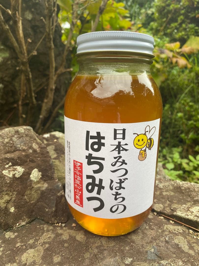 ハチミツ 日本蜜蜂の蜂蜜 奥山の奥のはちみつ