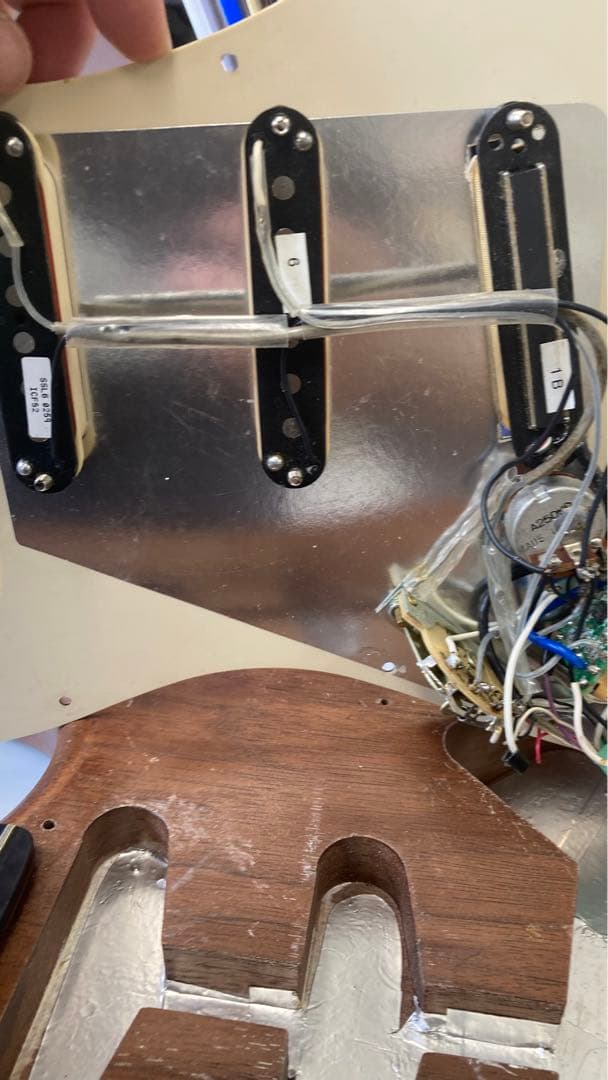 Moon ウォルナット/エボニー ストラトキャスター