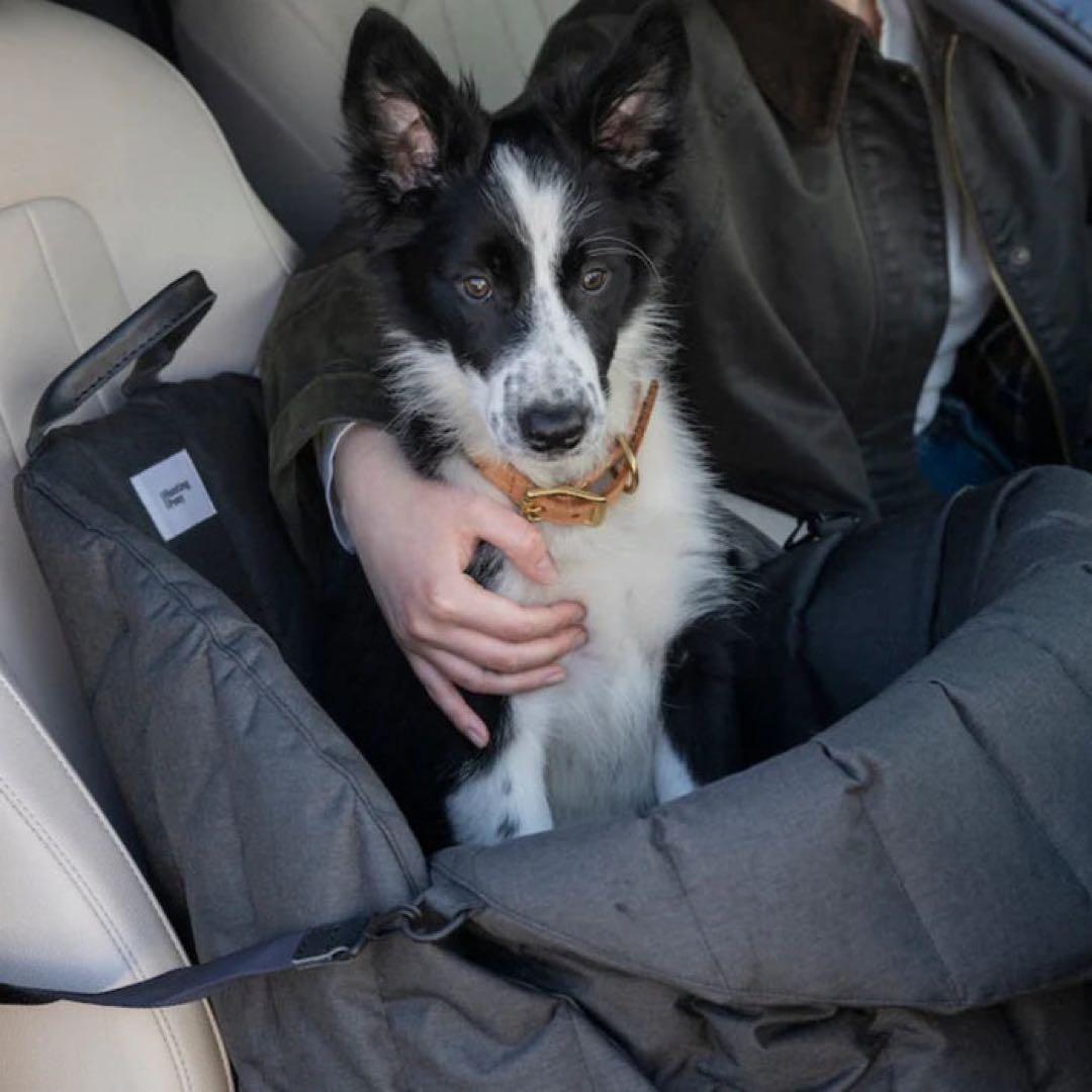 希少】Hunting Pony /ペットドライブベッド