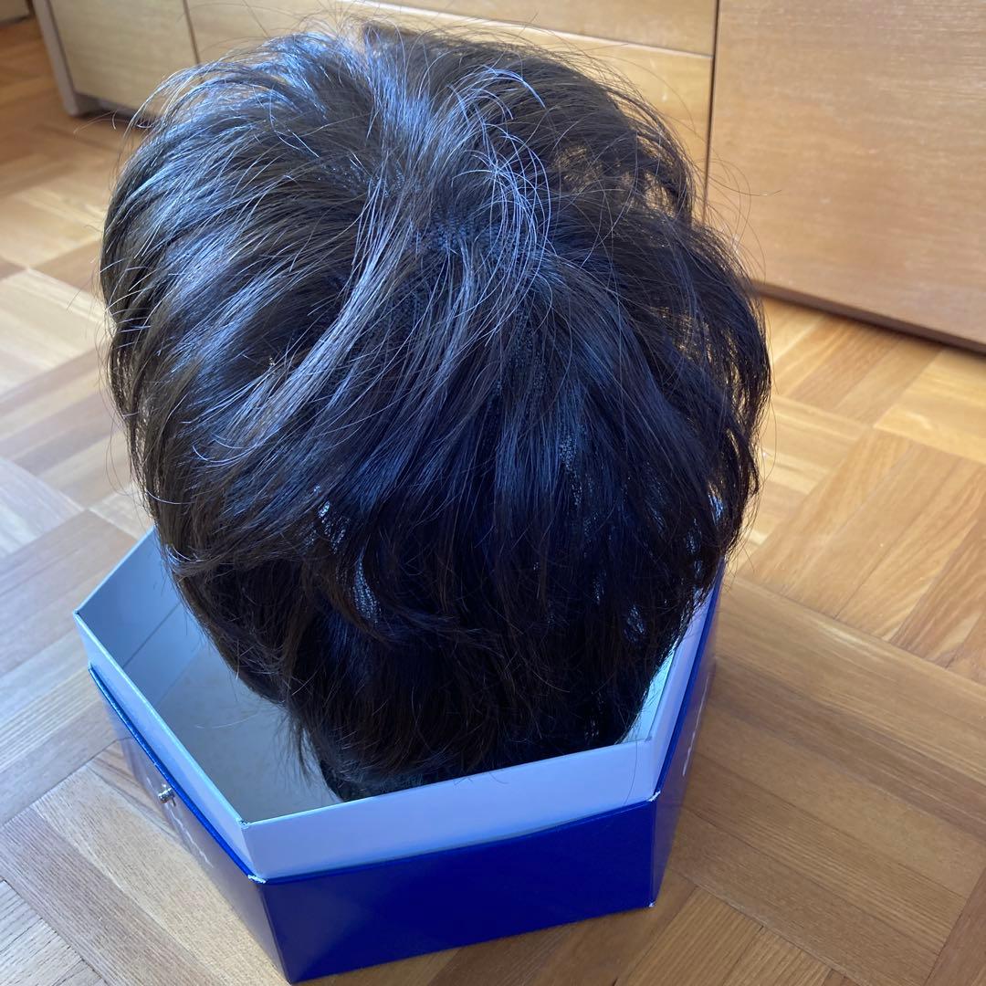 定価16万円以上　ハイネットウィッグ