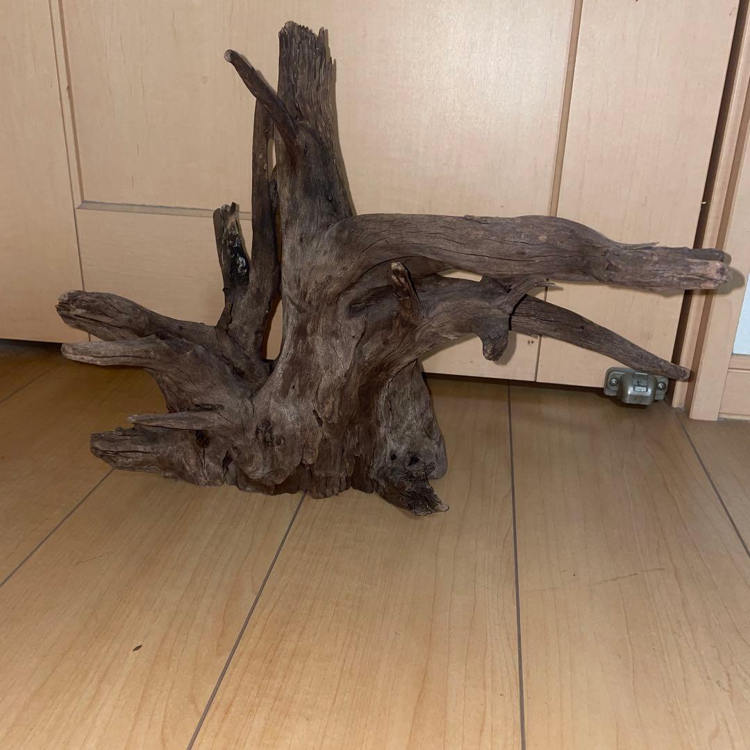 ダークブラウン流木 自然な形状 - メルカリ