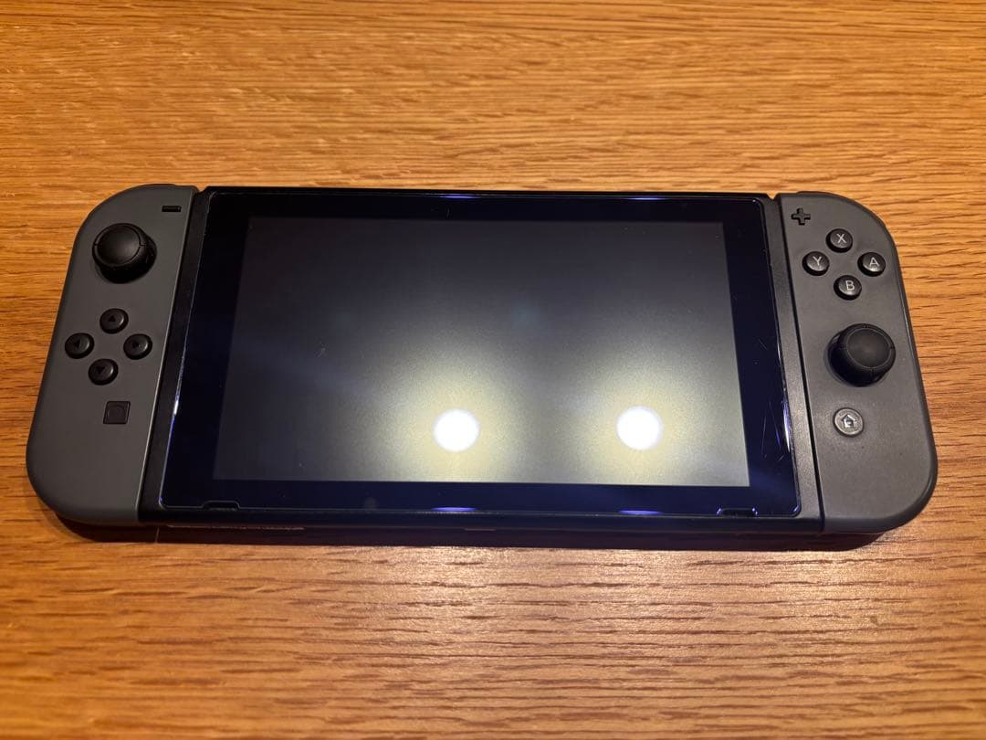 Nintendo Switch 本体 グレー 充電器・ケース付き