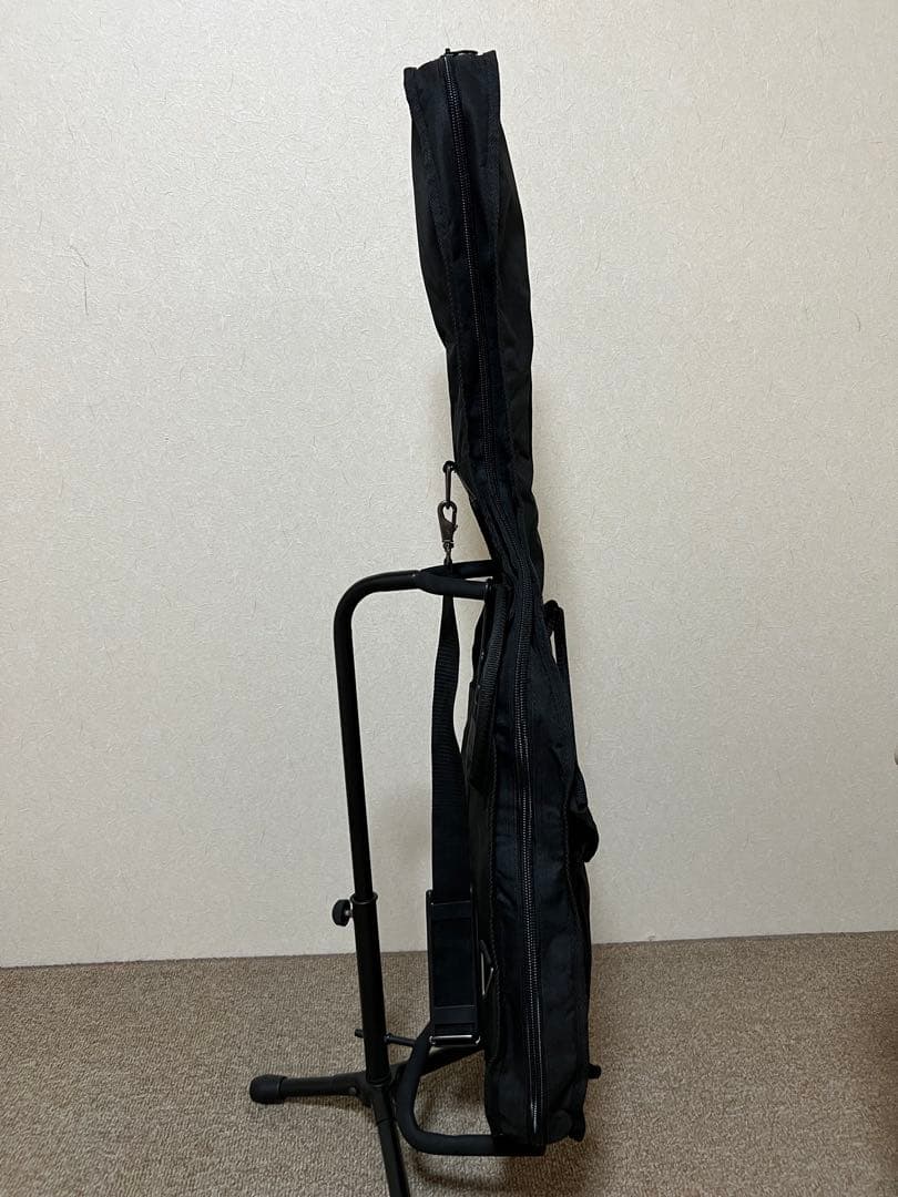 Schecter Diamond Series美品10月から出張に行くので値下げ