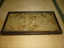 ◇極希少 美品 1930年頃 米国製◇木製卓上ピンボール サファリ