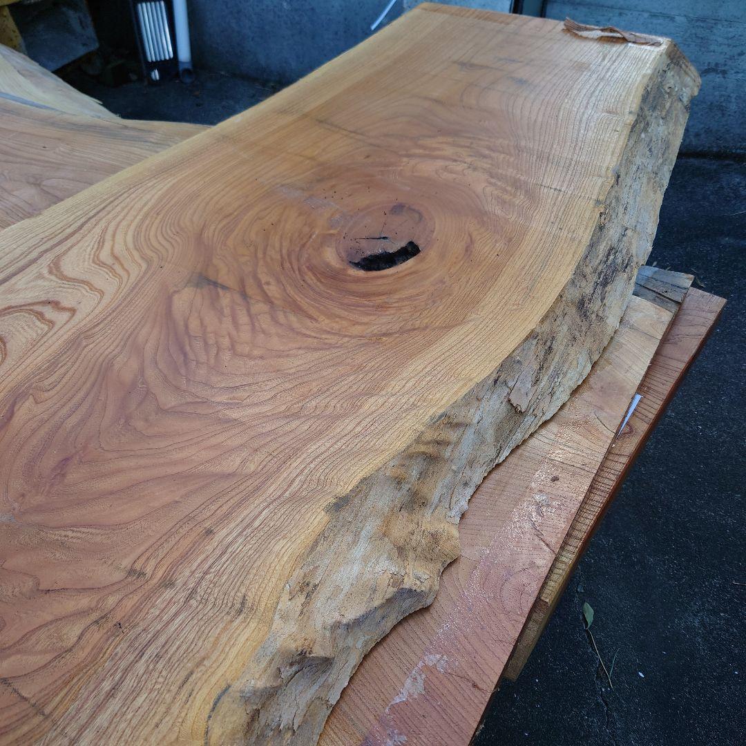 ジャンボ様の専用