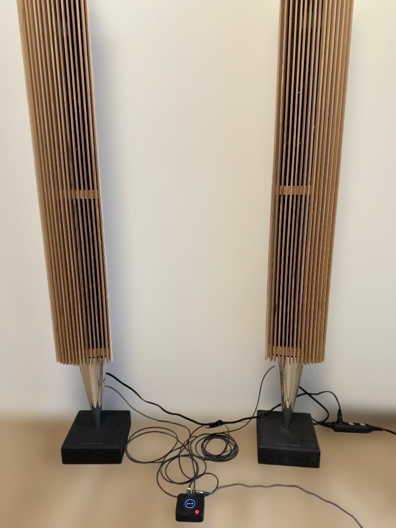 Bang & Olufsen BeoLab 8000スピーカー用の木製カバ - メルカリ