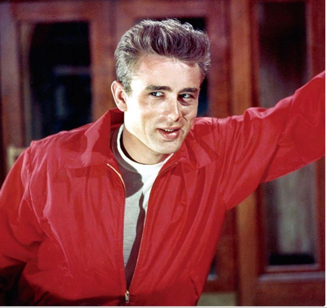 極美品McGREGORドリズラージャケット スウィングトップ ジェームズ着用