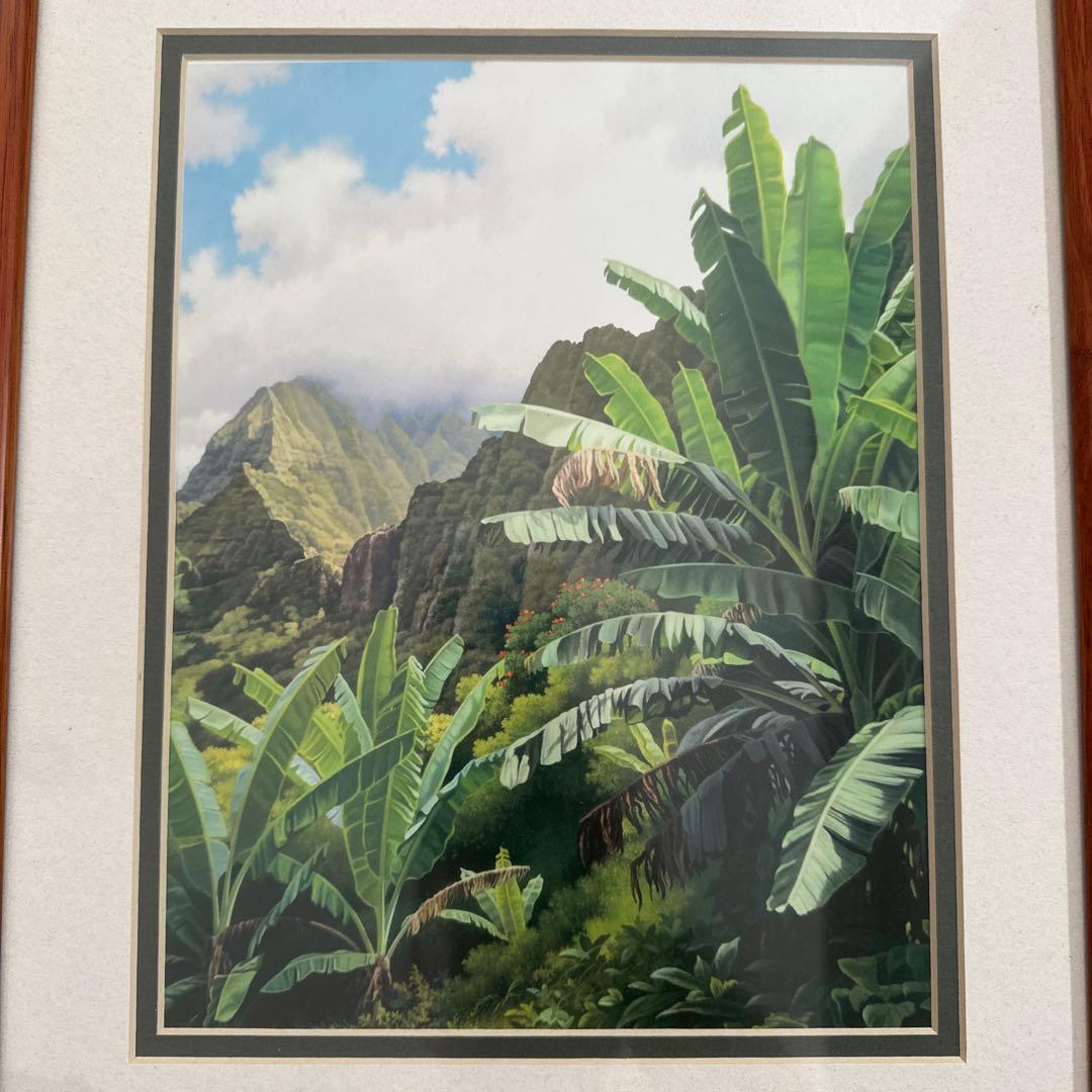 最後の出品】高級コアウッドのフレーム ハワイ熱帯植物の風景画 サイン