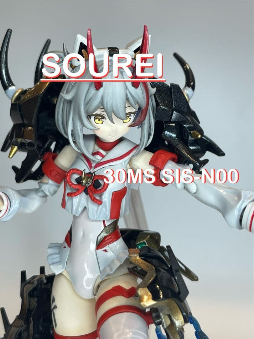 パロニコドンの歯 [DS400] 恐竜の化石 希少 レア