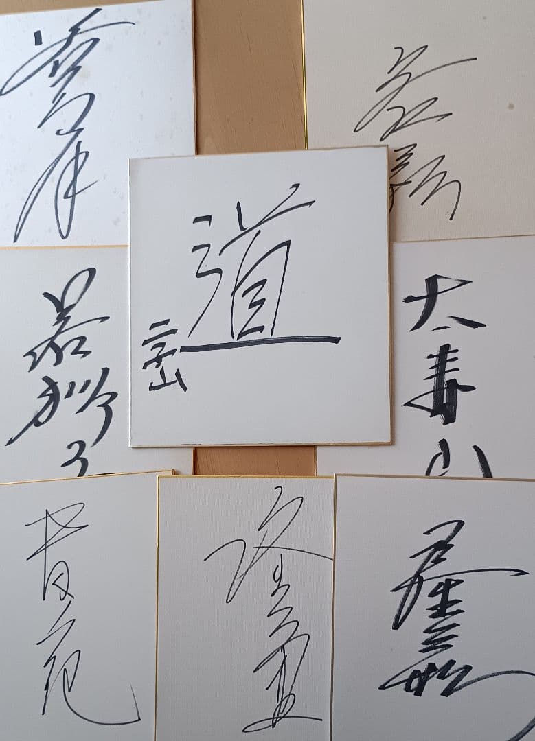 大相撲 力士手形 サイン 若乃花貴乃花曙貴ノ浪 額入り 相撲 手形