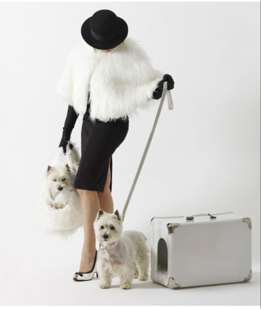 Bosa ⭐︎トラベルドックハウス小型犬用