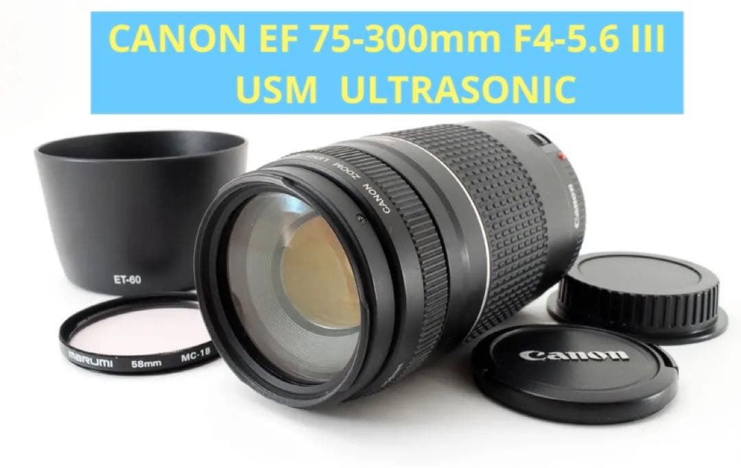 フード付き☆イベント☆スポーツ☆キャノン Canon EF75-300㎜☆