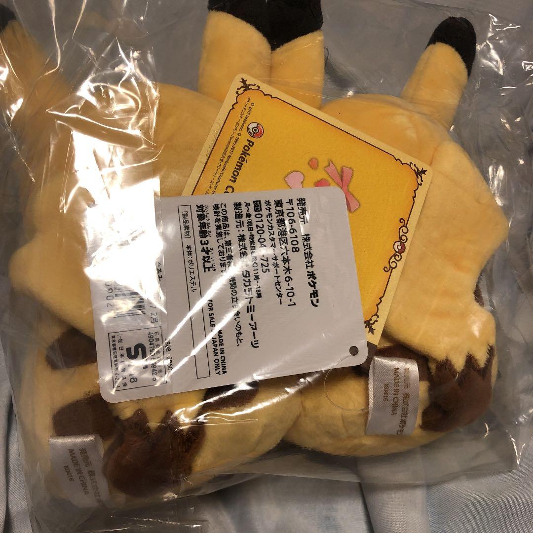 ポケモンセンター　マンスリーペアピカチュウ 2017 2月　ぬいぐるみ