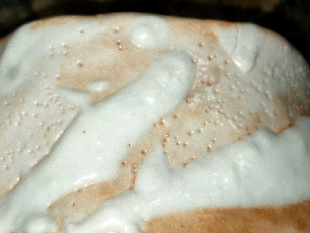 ♥美濃焼♥　志野　茶碗　在銘　茶道具　骨董　古玩