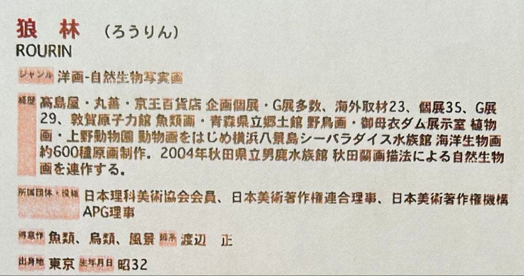 狼林（ROURIN）作　猫（スコティッシュフィールド）の水彩画 2008年