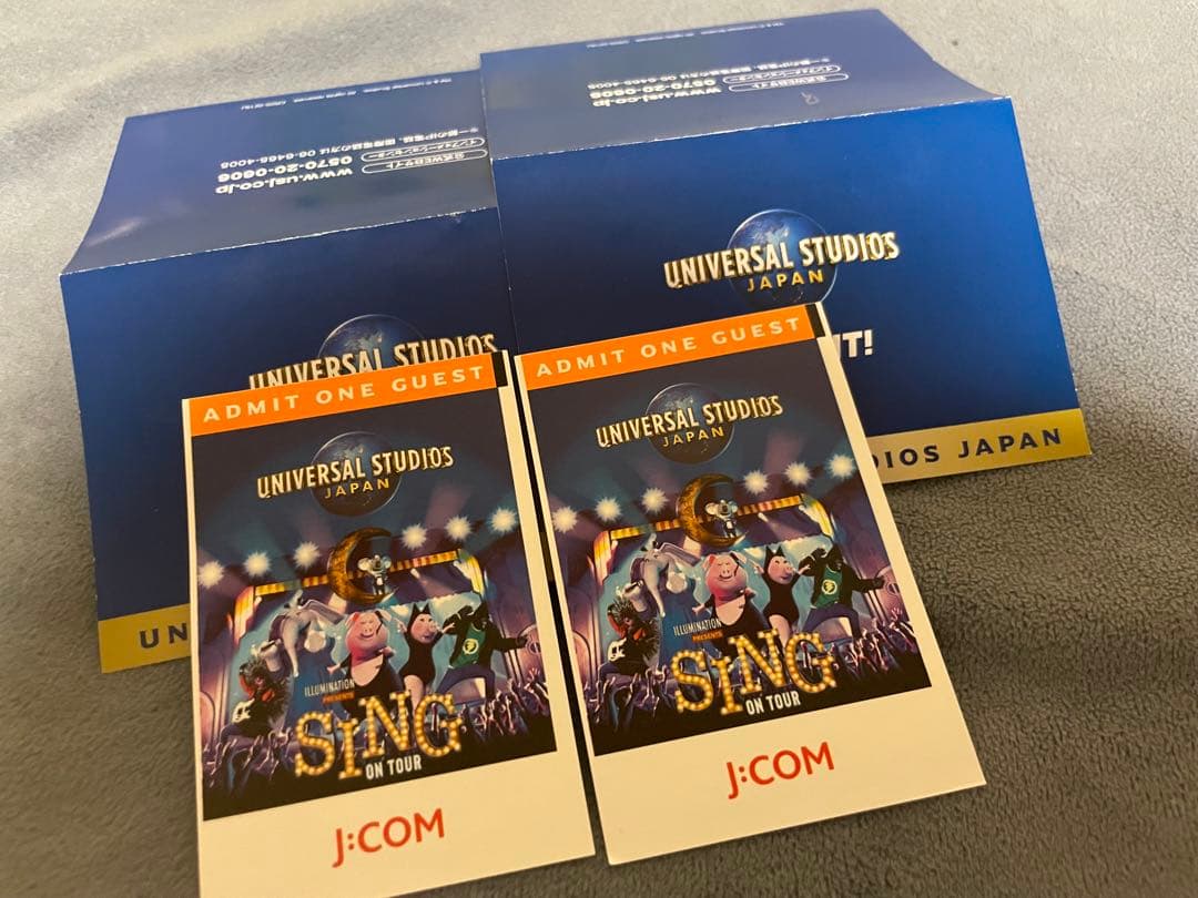 USJ ユニバーサルスタジオジャパン 入場券 大人2名分 2025年3月6日