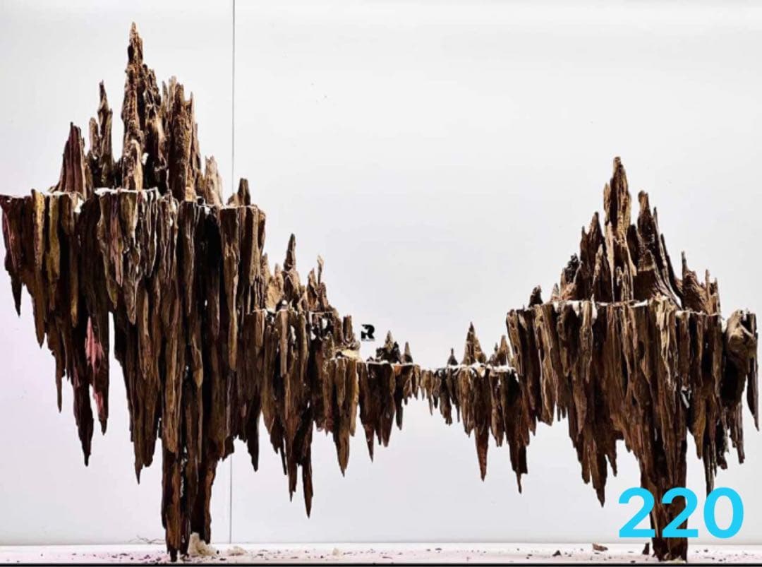 盆栽流木 水草用の 流木。流木アクアリウム パルダリウム マシンガン