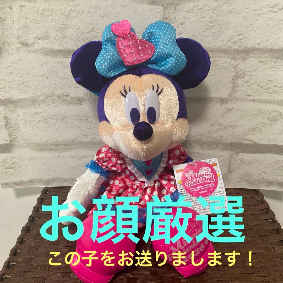 ディズニー パルパルーザ ぬいぐるみ ミニー ファンダーランド 2026