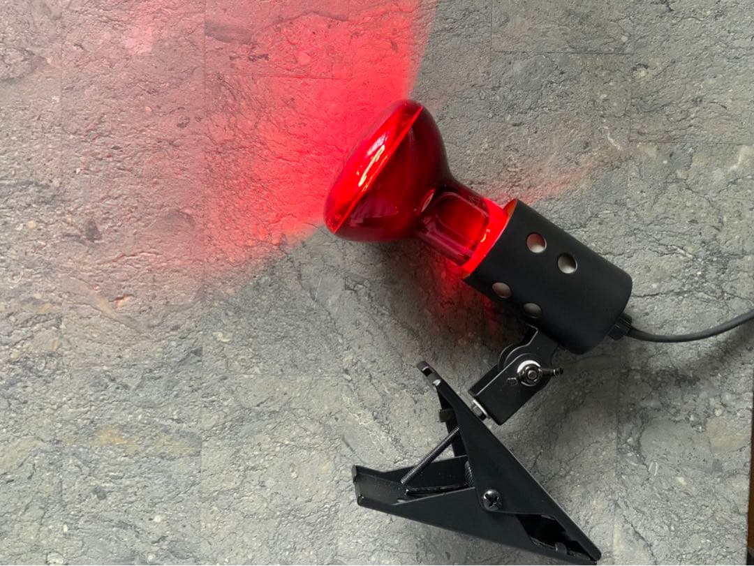 爬虫類等】保温器具3点セット【GEX・みどり商会】