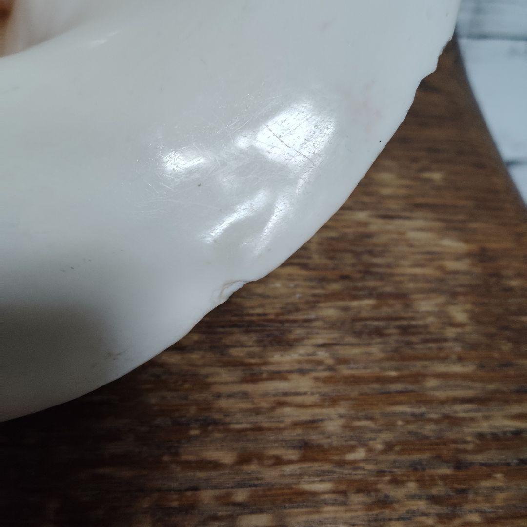 希少・大型29cm】ブラジル産 ホラガイ 貝殻 天然石 インテリア 標本