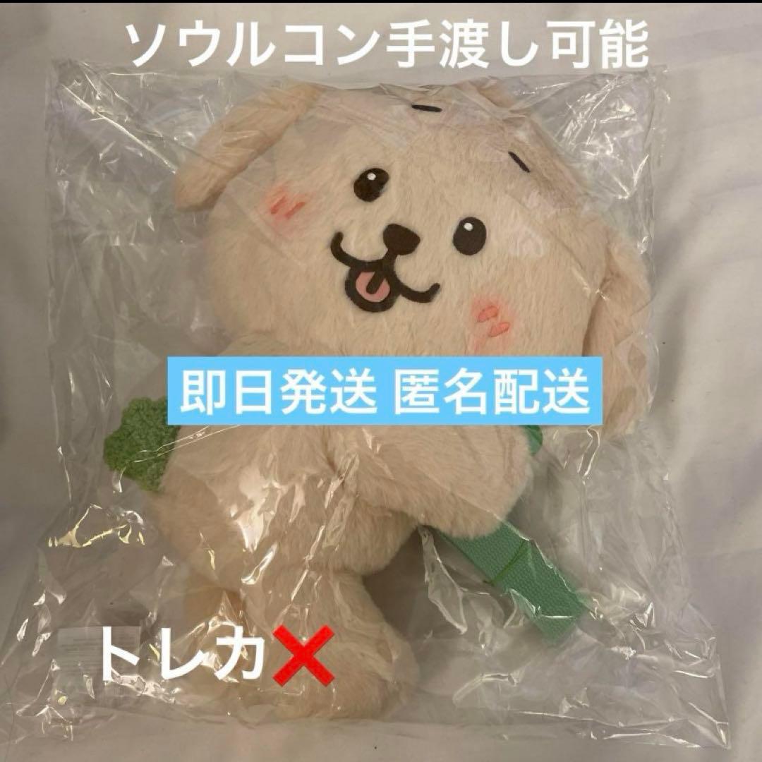 NCT WISH 韓国 ソウルコン ジェヒ バッグ デントリバー ぬいぐるみ