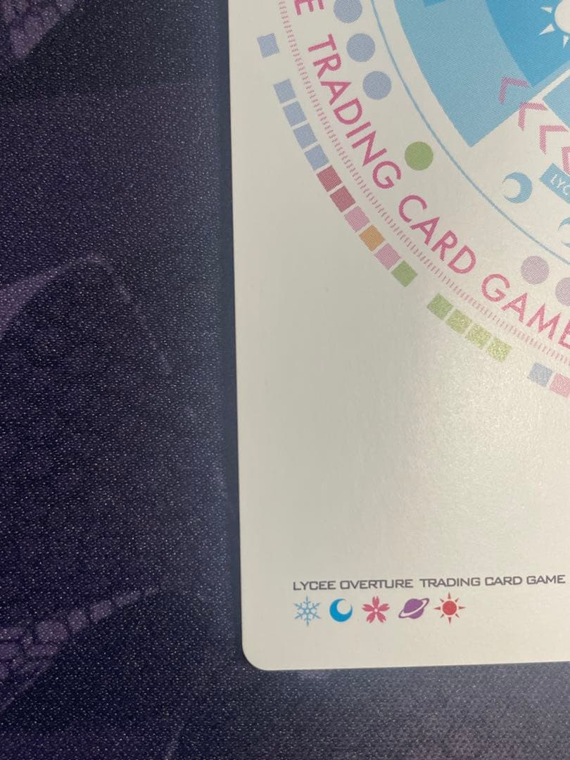 世界を見透す天才芸術家 本間心鈴 SSP LO-5659-X