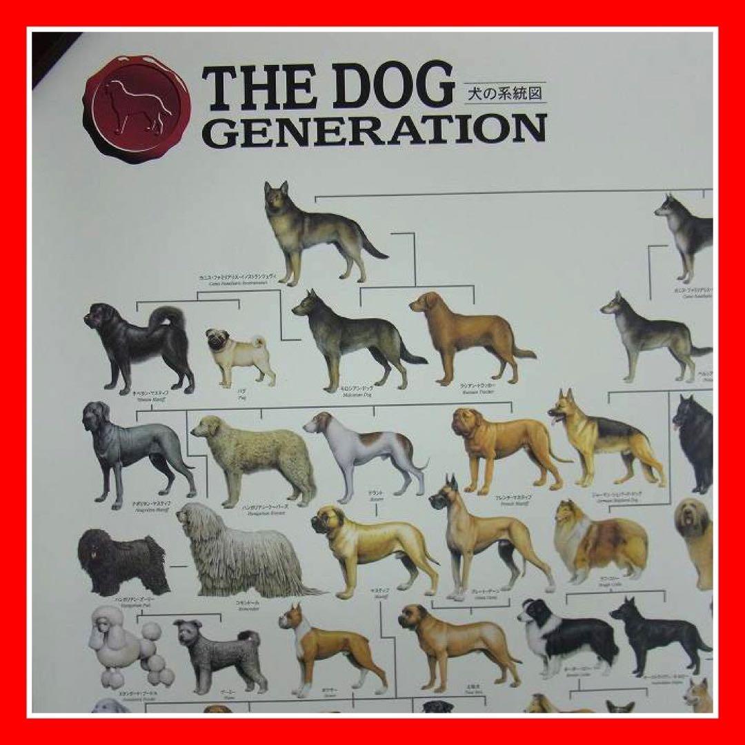 ポスター 犬の系統図 The Dog Generation B1サイズ - メルカリ