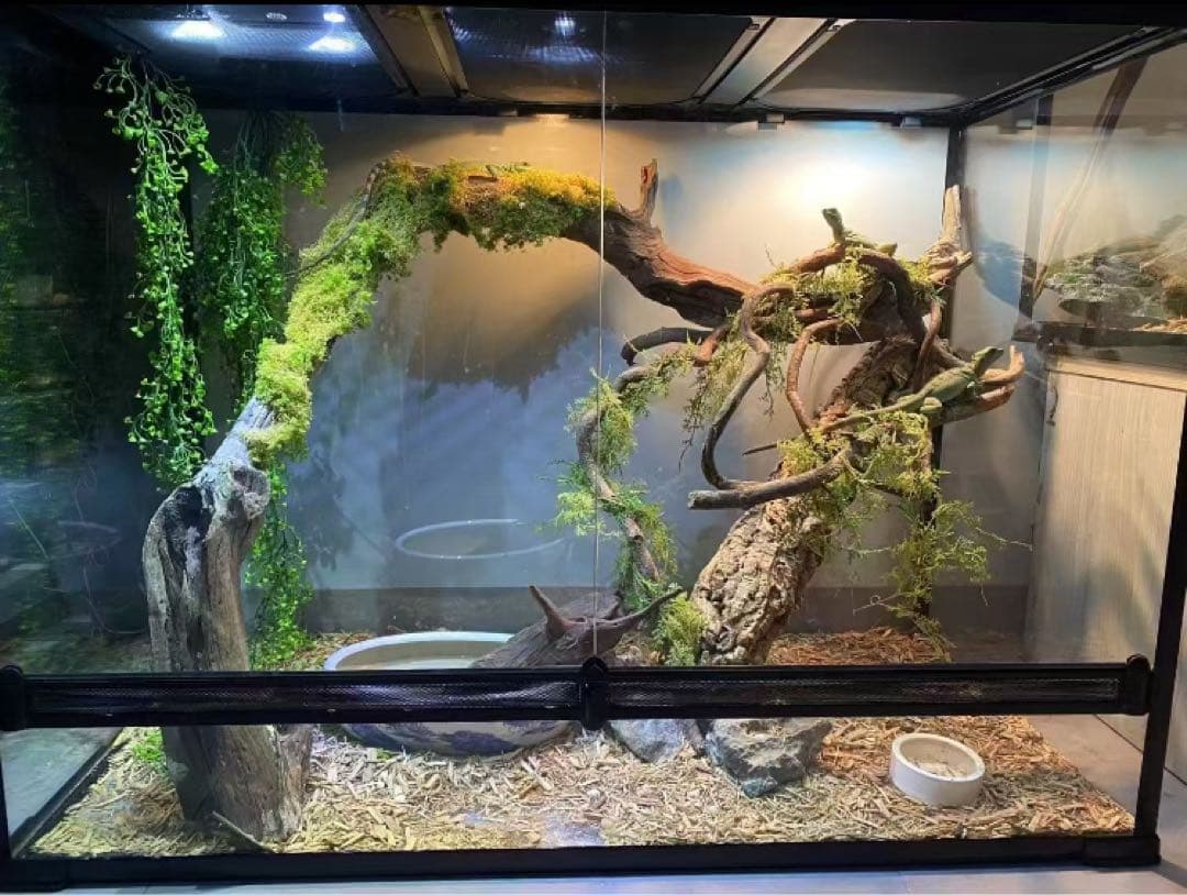 自社製組み立て式爬虫類両生類ケージガラス飼育ケージ60x30x30cm引取り