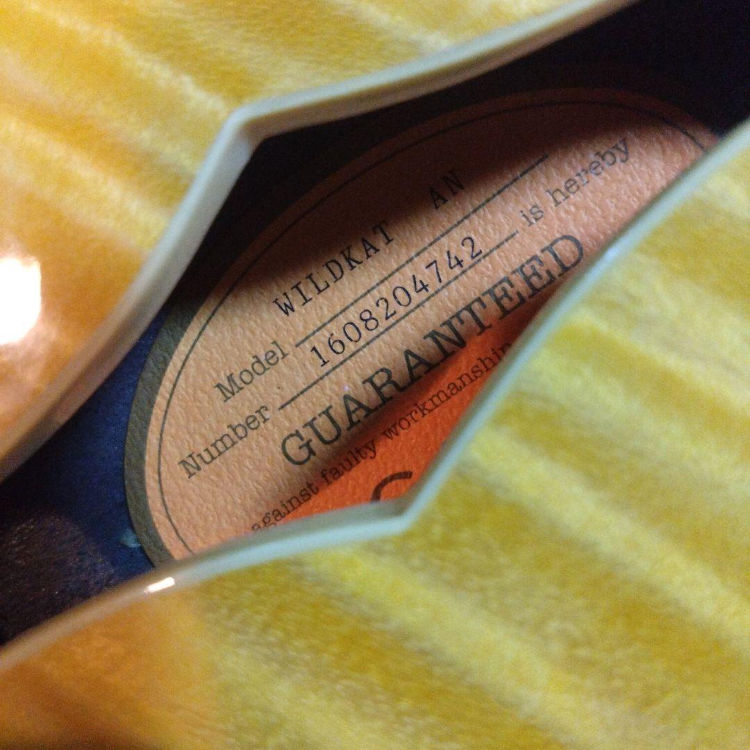 は*さ様 Epiphone Wildkat Natural Flame ハードケ
