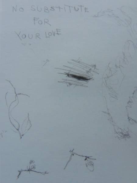 Tracey Emin、NO SUBSTITURE FOR YOUR LOVE