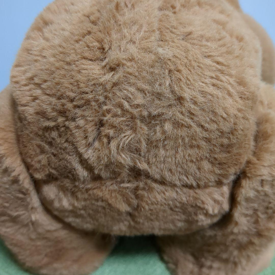 ファーリアル　こぐまのカビー